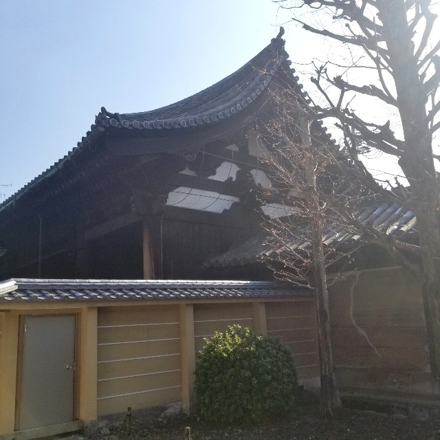 f:id:atoriatoriatori:20210120103216j:image