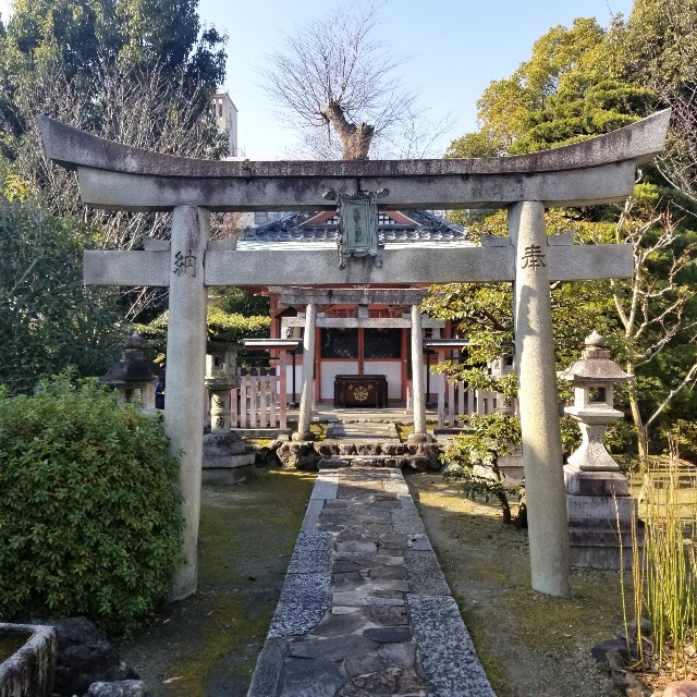 f:id:atoriatoriatori:20210120104034j:image