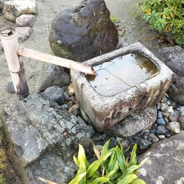 f:id:atoriatoriatori:20210120104045j:image