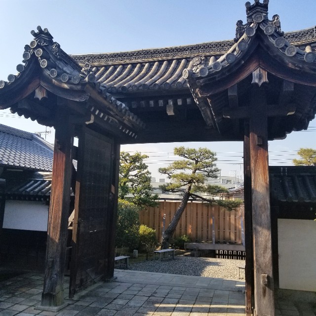 f:id:atoriatoriatori:20210120104548j:image