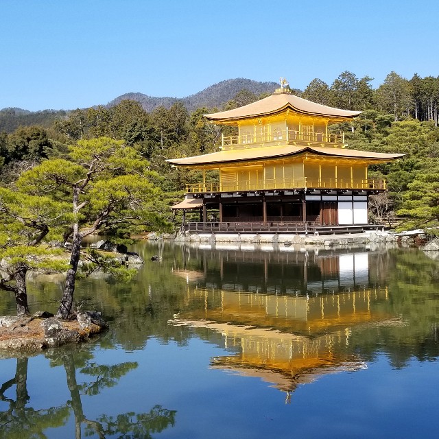 f:id:atoriatoriatori:20210207085816j:image f:id:atoriatoriatori:20210207085816j:image