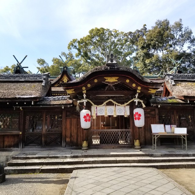 f:id:atoriatoriatori:20210215103508j:image