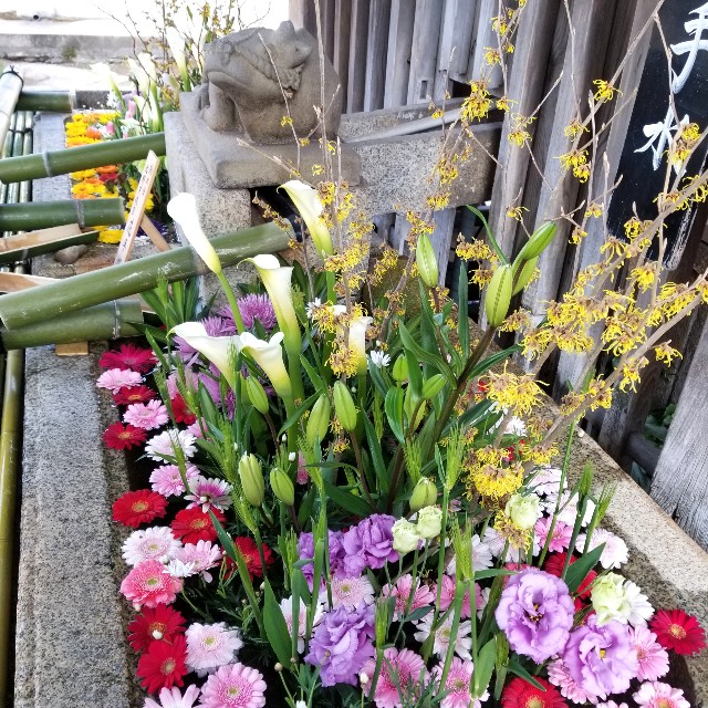 f:id:atoriatoriatori:20210223094321j:image