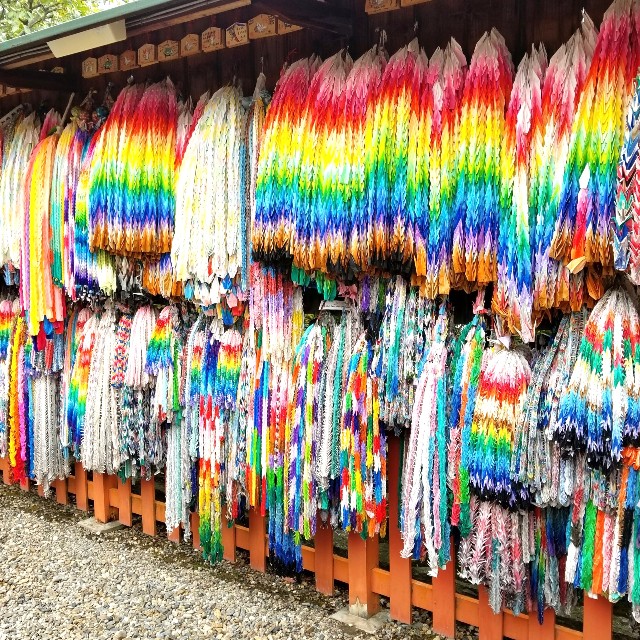 f:id:atoriatoriatori:20210303132857j:image f:id:atoriatoriatori:20210303132857j:image