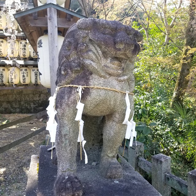 f:id:atoriatoriatori:20210325092653j:image