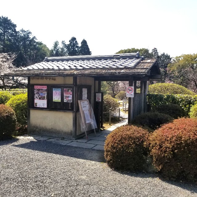 f:id:atoriatoriatori:20210331082742j:image