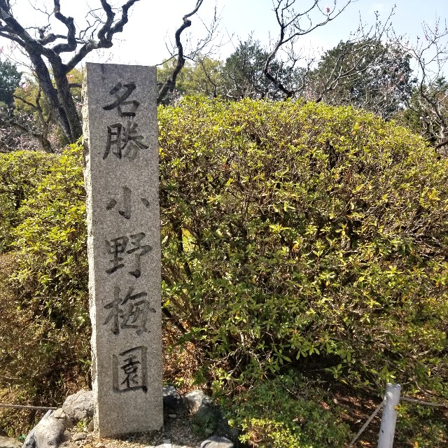 f:id:atoriatoriatori:20210331082751j:image