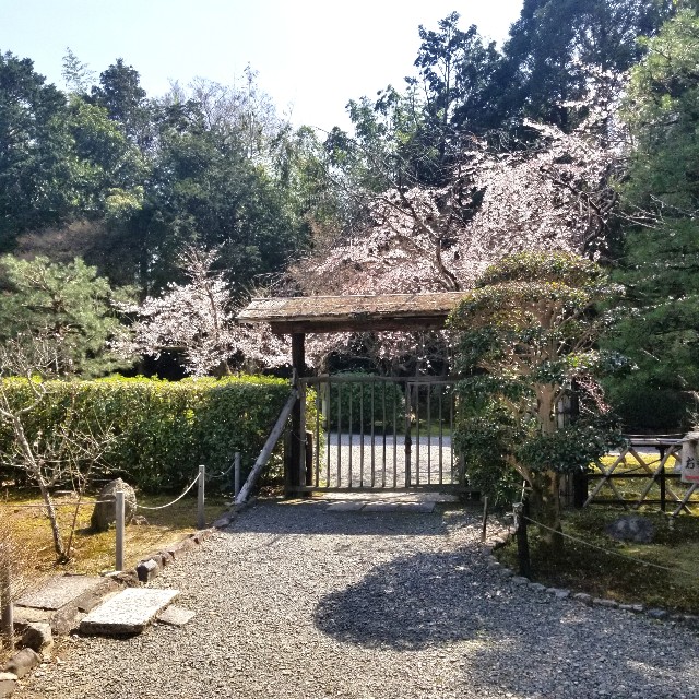 f:id:atoriatoriatori:20210331083422j:image