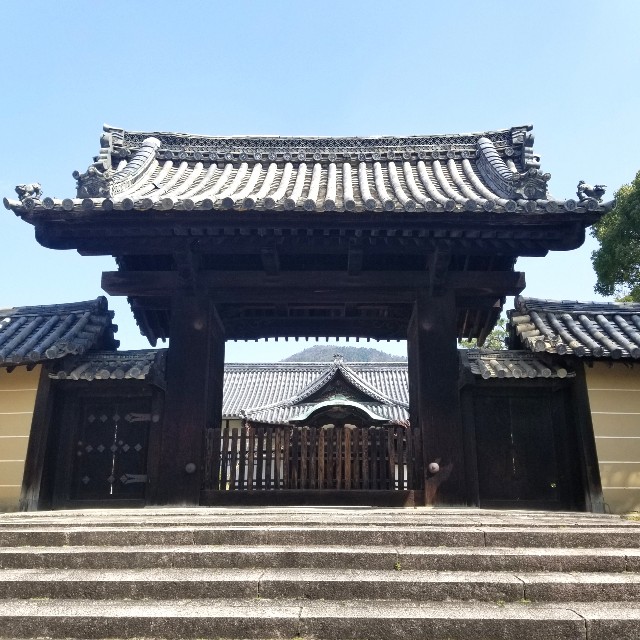 f:id:atoriatoriatori:20210331095543j:image