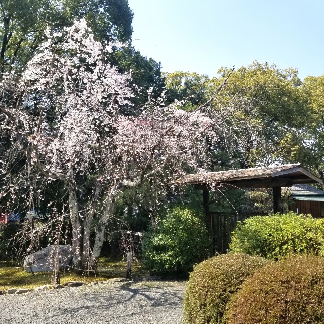 f:id:atoriatoriatori:20210331100442j:image