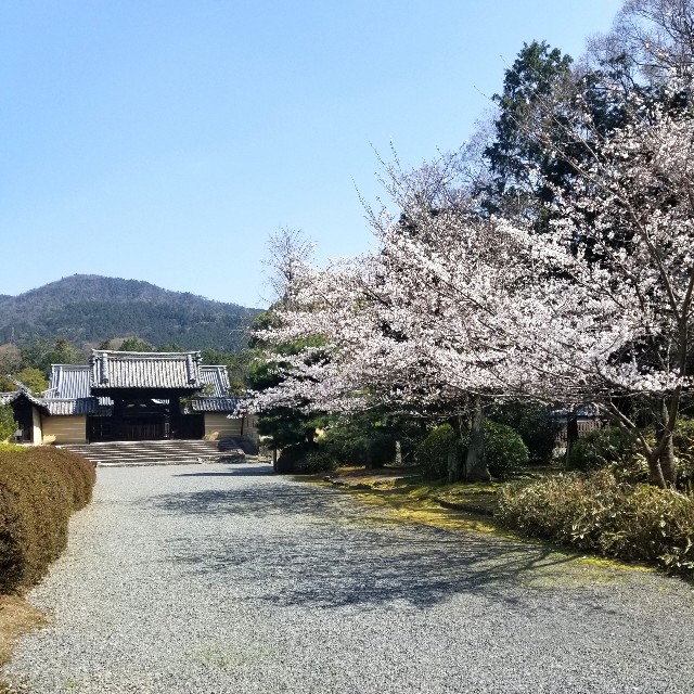 f:id:atoriatoriatori:20210331100450j:image