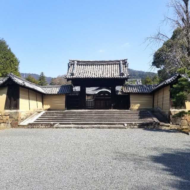 f:id:atoriatoriatori:20210331100459j:image