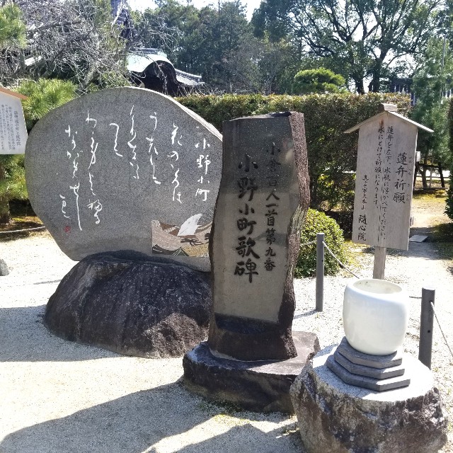 f:id:atoriatoriatori:20210331110211j:image