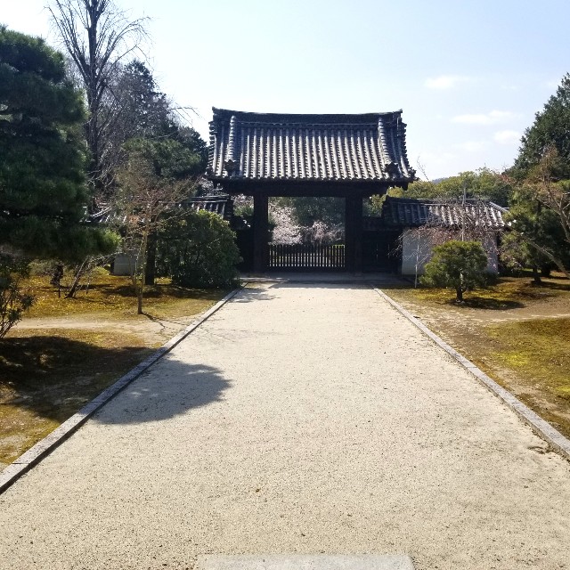 f:id:atoriatoriatori:20210331110225j:image