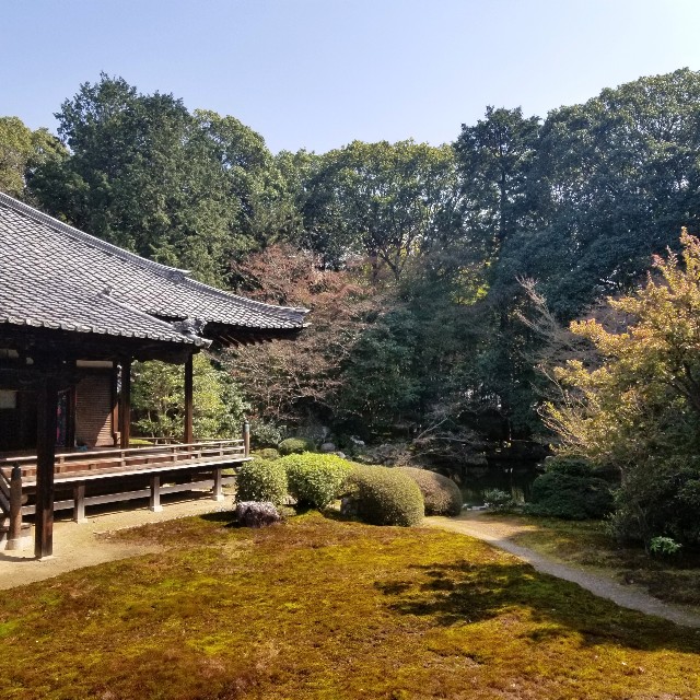 f:id:atoriatoriatori:20210331181135j:image