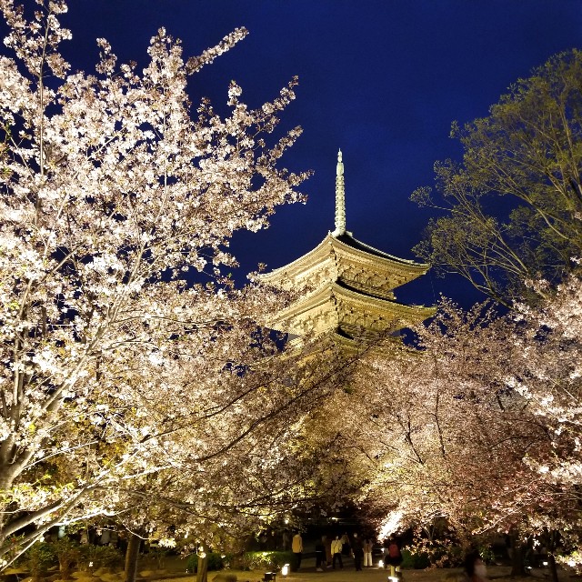f:id:atoriatoriatori:20210403093617j:image