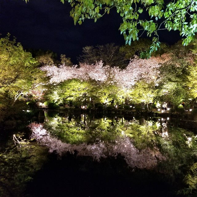 f:id:atoriatoriatori:20210403093638j:image