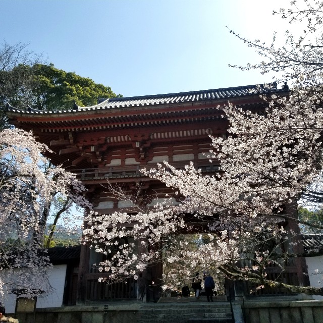 f:id:atoriatoriatori:20210404092343j:image