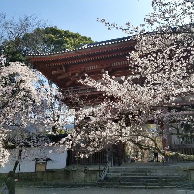 f:id:atoriatoriatori:20210404092413j:image