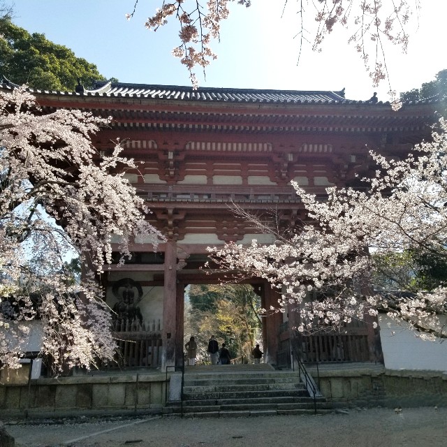 f:id:atoriatoriatori:20210404092428j:image