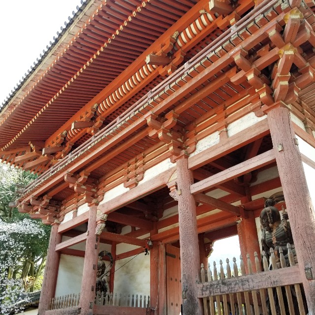 f:id:atoriatoriatori:20210404133219j:image