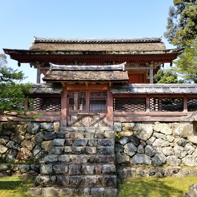 f:id:atoriatoriatori:20210404134116j:image