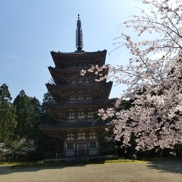 f:id:atoriatoriatori:20210404155237j:image