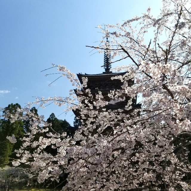 f:id:atoriatoriatori:20210404155246j:image