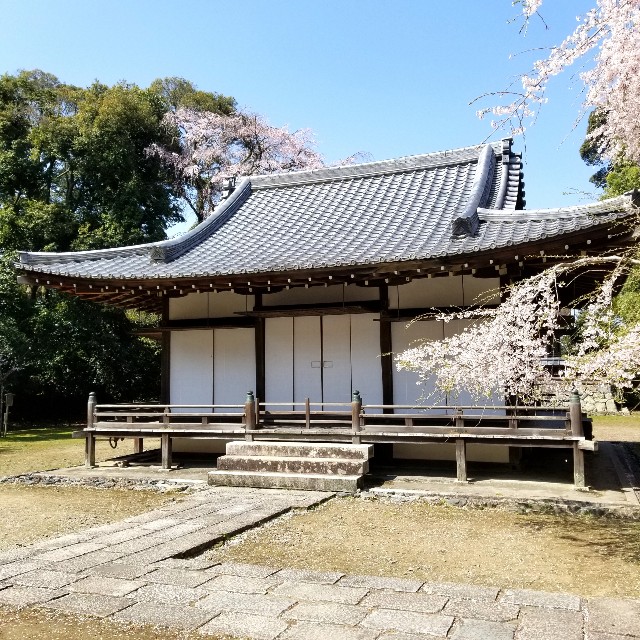 f:id:atoriatoriatori:20210404160437j:image