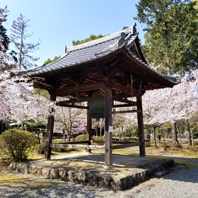 f:id:atoriatoriatori:20210404160453j:image