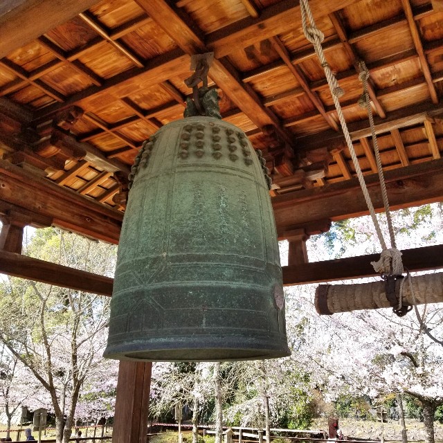 f:id:atoriatoriatori:20210404160506j:image