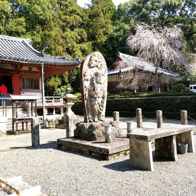 f:id:atoriatoriatori:20210404204046j:image