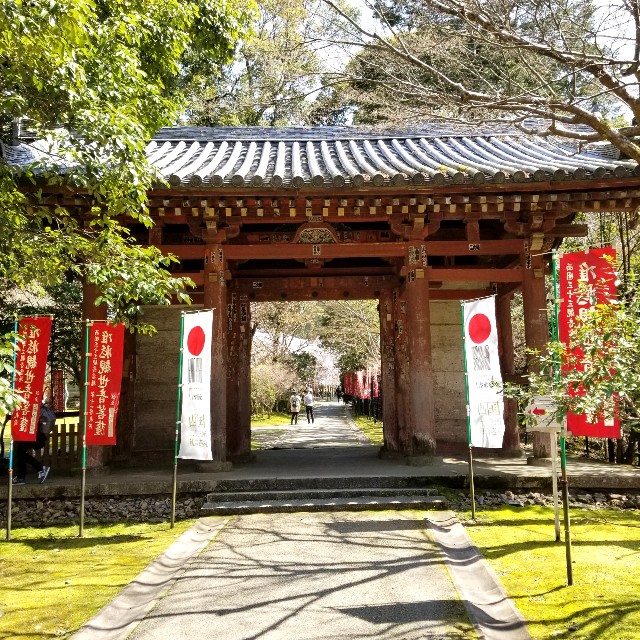 f:id:atoriatoriatori:20210404211034j:image