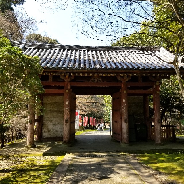 f:id:atoriatoriatori:20210404211044j:image