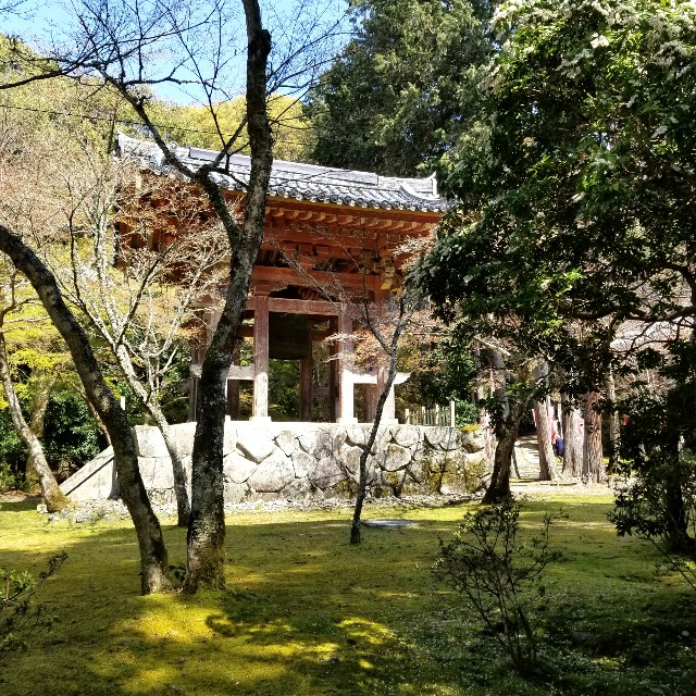 f:id:atoriatoriatori:20210404211108j:image