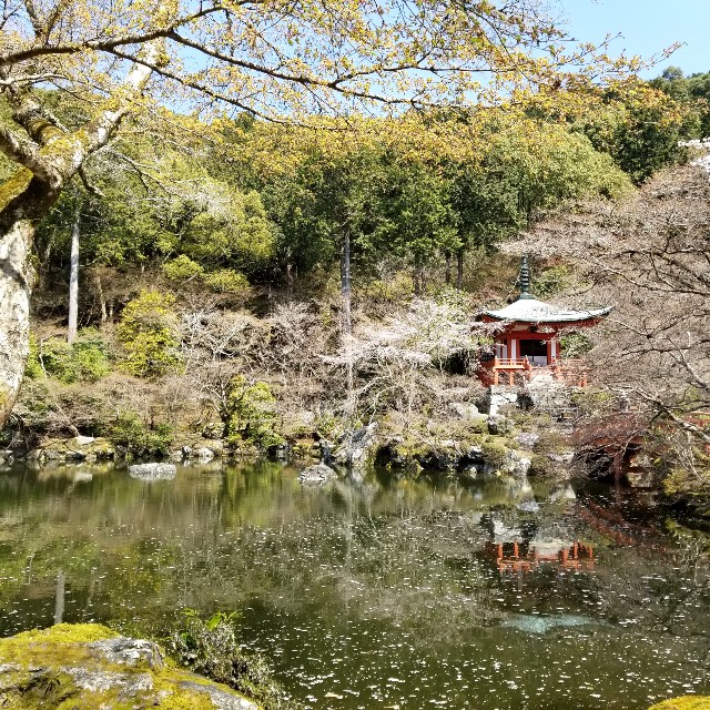 f:id:atoriatoriatori:20210405092444j:image