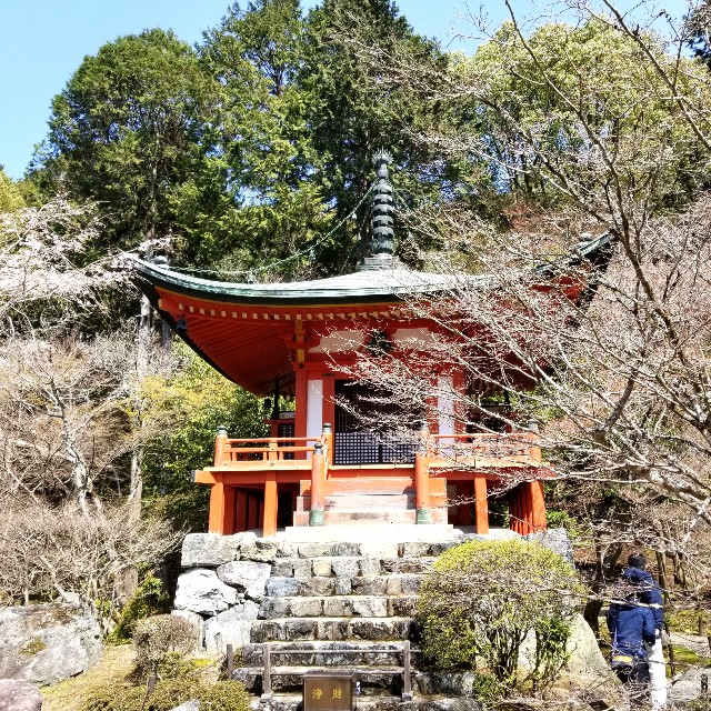 f:id:atoriatoriatori:20210405092501j:image