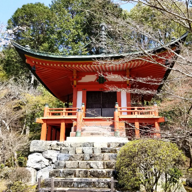 f:id:atoriatoriatori:20210405092509j:image