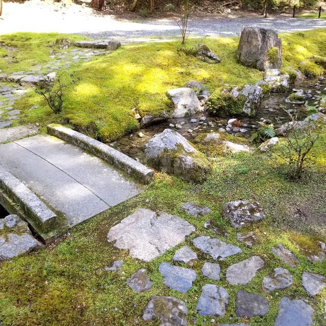 f:id:atoriatoriatori:20210405093306j:image