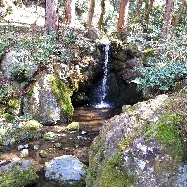 f:id:atoriatoriatori:20210405093326j:image