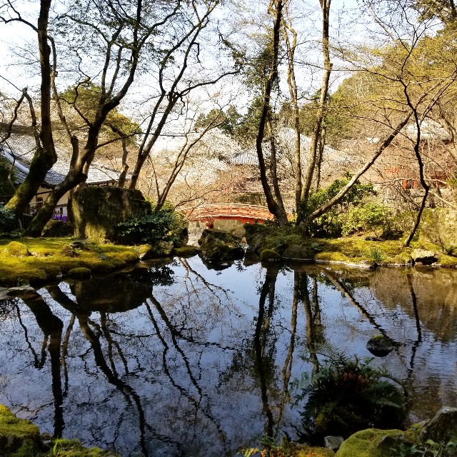 f:id:atoriatoriatori:20210405093354j:image