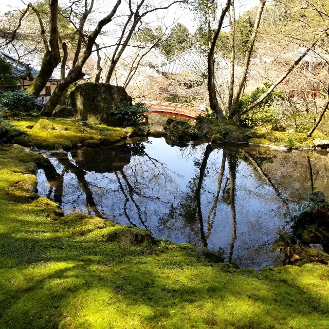 f:id:atoriatoriatori:20210405093402j:image