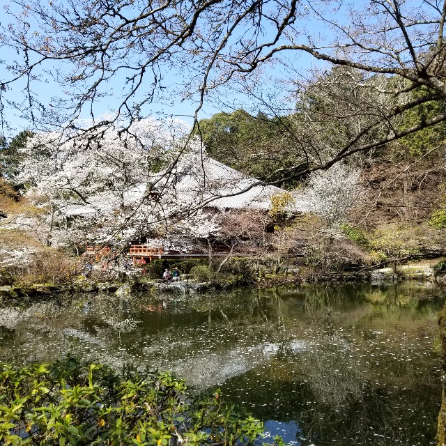 f:id:atoriatoriatori:20210405093805j:image