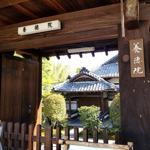 f:id:atoriatoriatori:20210407200103j:image