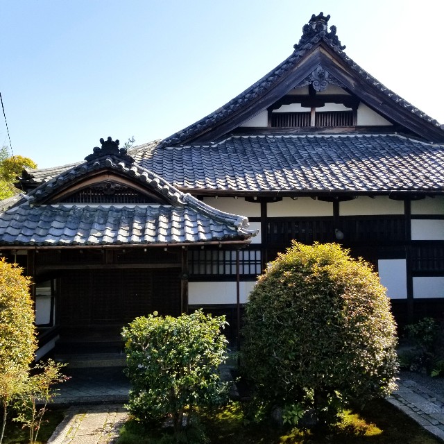 f:id:atoriatoriatori:20210407201126j:image