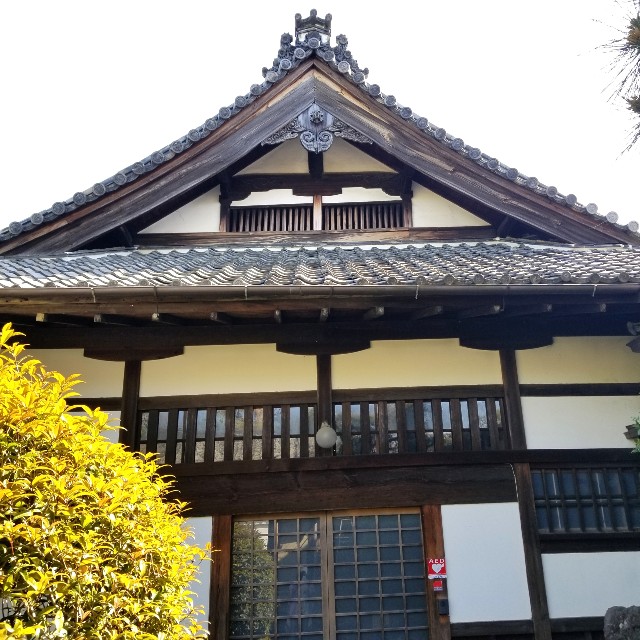 f:id:atoriatoriatori:20210407201136j:image