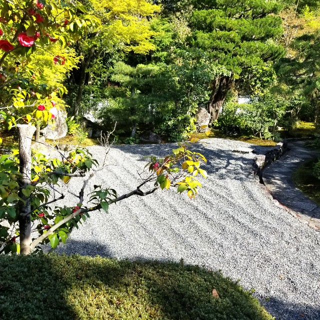 f:id:atoriatoriatori:20210407201545j:image