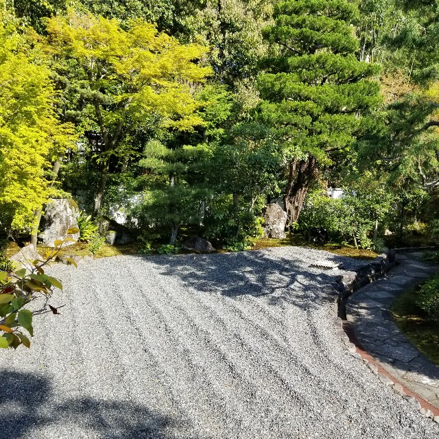 f:id:atoriatoriatori:20210407201941j:image