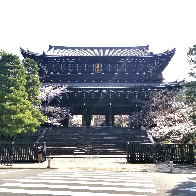 f:id:atoriatoriatori:20210408090256j:image f:id:atoriatoriatori:20210408090256j:image