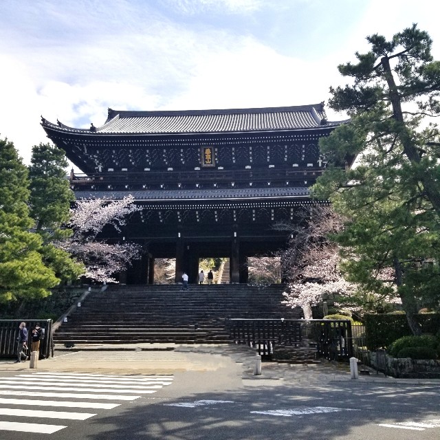 f:id:atoriatoriatori:20210408090304j:image f:id:atoriatoriatori:20210408090304j:image